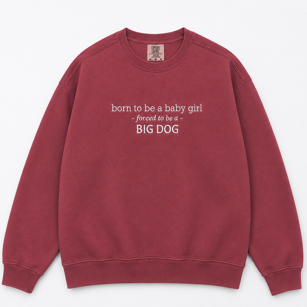 A crewneck sweatshirt in a washed, muted burgundy red, featuring the text 'born to be a baby girl - forced to be a BIG DOG' printed in white on the chest. The sweatshirt is laid flat against a clean, light off-white background.